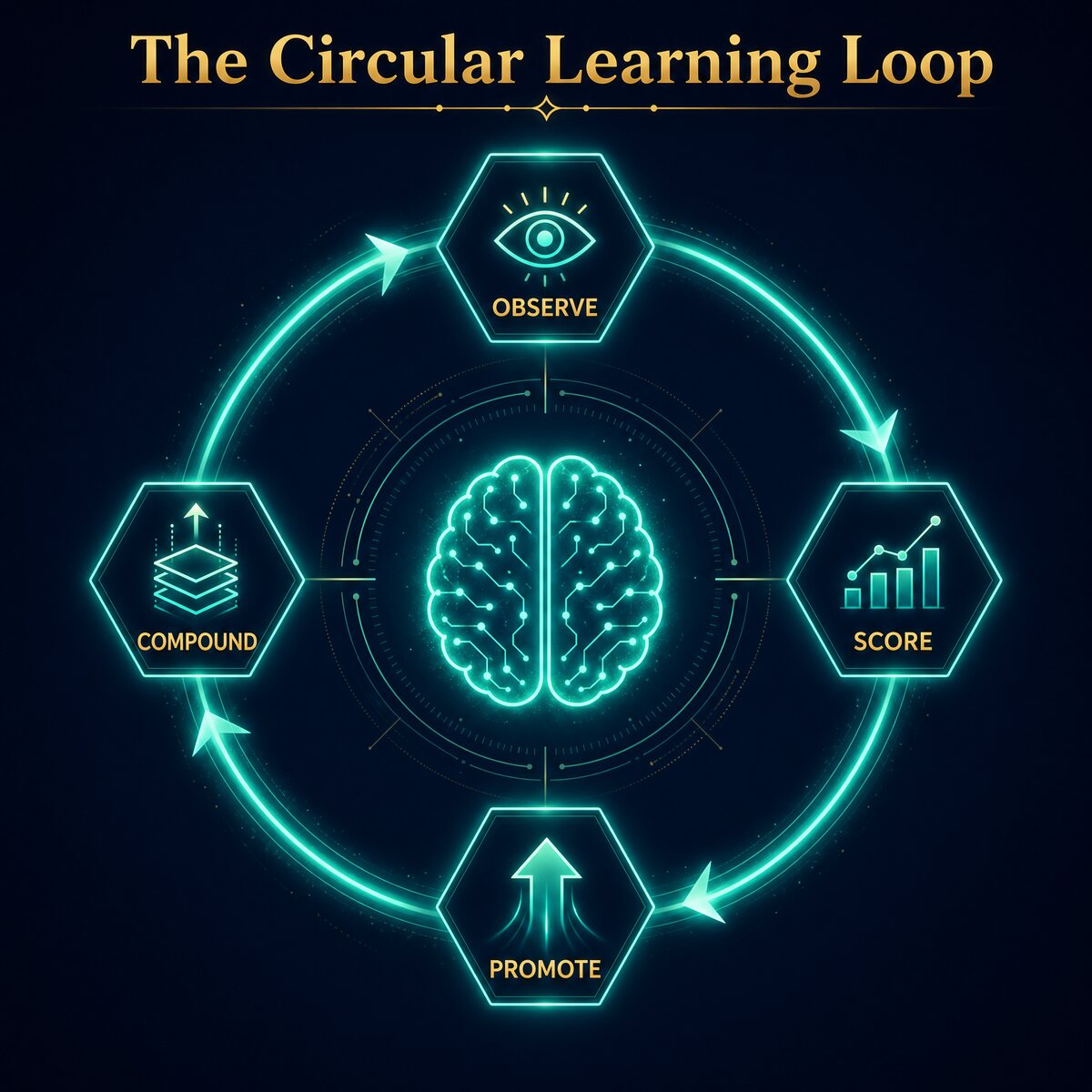 The Circular Learning Loop: observe, score, promote, compound, arranged in a ring around a central brain